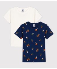 PETIT BATEAU/半袖Ｔシャツ２枚組/505833797