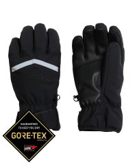 phenix/phenix(フェニックス)Space Hunter Gloves GORE－TEX スペース ハンター グローブ ゴアテックス レディース スキー グローブ /505837597