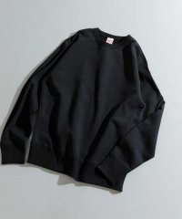 ITEMS URBANRESEARCH/Healthknit　HK Crew Neck Long－Sleeve Sweat/505839639