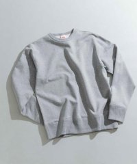 ITEMS URBANRESEARCH/Healthknit　HK Crew Neck Long－Sleeve Sweat/505839639