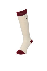 phenix/phenix(フェニックス)PH Training Ski Socks トレーニング スキー ソックス レディース 靴下【WOMENS】/505837615