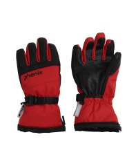 phenix/Phenix フェニックス Transcends Shade Junior Gloves トラセンド シェード ジュニア スキー グローブ 手袋 防水 吸水 速/505840337