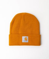 ar/mg/【z】【A18】【carhartt（カーハート）】ニットキャップ/505821058