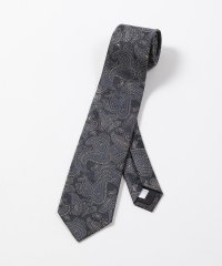 Men's Bigi/【TIE YOUR TIE(タイユアタイ)】ペイズリー柄シルクネクタイ/505848075