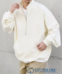 SHIPS any MEN/SHIPS any: COTTON USA ハーフジップ ドロスト プルオーバー スウェット◇/505850578