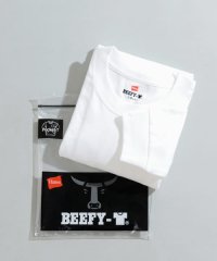 ITEMS URBANRESEARCH/Hanes　BEEFY Long－Sleeve Pocket T－shirts/505862345