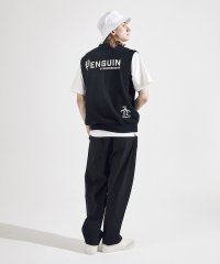 Penguin by Munsingwear/INTARSIA KNIT VEST / インターシャニットベスト/505813710