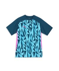 PUMA/メンズ サッカー INDIVIDUAL プーマフットボール プロ 半袖 AOP Tシャツ/505872873