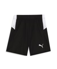 PUMA/メンズ サッカー INDIVIDUAL プーマフットボール プロ ニット ショーツ/505872874