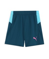 PUMA/メンズ サッカー INDIVIDUAL プーマフットボール プロ ニット ショーツ/505872874