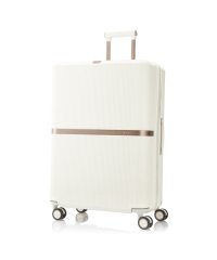 Samsonite/サムソナイト スーツケース LLサイズ XLサイズ 100L/118L 大型 大容量 拡張機能 無料受託 静音キャスター Samsonite Minter HH/505875641