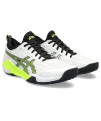 ASICS/BLAST FF 3/505663447