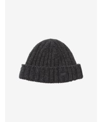 HELLY HANSEN/Bulky Beanie (バルキービーニー)/505881657