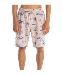 QUIKSILVER/ENDLESS TRIP VOLLEY 20NB/505882418