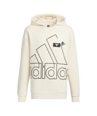 Adidas/YK ビックロゴ フリースフーディー/505884444