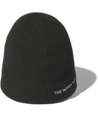 THE NORTH FACE/ENDURANCE BEANIE(エンデュランスビーニー)/505885254