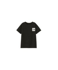 ザノースフェイス/S/S Small Square Logo Tee (ショートスリーブスモールスクエアロゴティー)/505886512