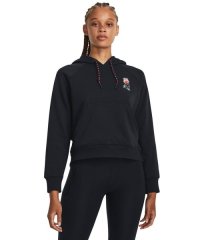 UNDER ARMOUR/UA HWT TERRY HOODIE/505886800