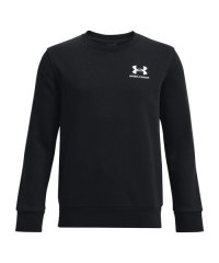 UNDER ARMOUR/UA ESSENTIAL FLEECE CREW/505886829