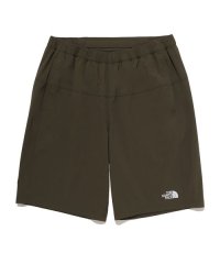 THE NORTH FACE/FLEXIBLE SHORT(フレキシブショーツ)/505887204