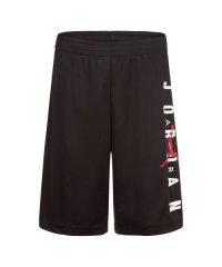 JORDAN BRAND/JDB JORDAN VERT MESH SHORT/505887326