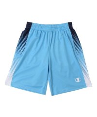 CHAMPION/SHORTS/505887438