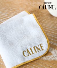 ROPE PICNIC PASSAGE/CALINE×ROPE' PICNIC/ロゴ刺繍ベロアタッチタオルハンカチ/505887795