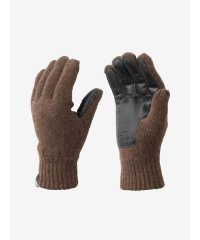 THE NORTH FACE/Wool Etip Glove (ウールイーチップグローブ)/505887854