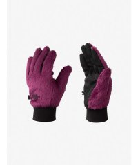 THE NORTH FACE/Versa Loft Etip Glove (バーサロフトイーチップグローブ)/505887857