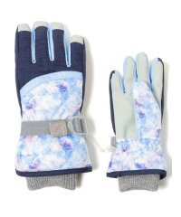 Alpine DESIGN/JUNIOR GL SKI GLOVE/505888288