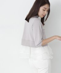 NATURAL BEAUTY BASIC/シアーフリルレイヤードスプリングニット　24SS/505863123