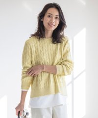 J.PRESS LADIES（LARGE SIZE）/【洗える】GIZA MERCERIZE COTTON ケーブル ニット/505891653