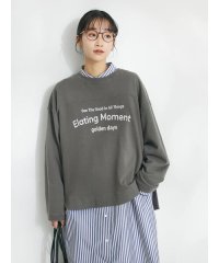 CRAFT STANDARD BOUTIQUE/ミニ裏毛パウダー加工PT P/O L/S/505893833