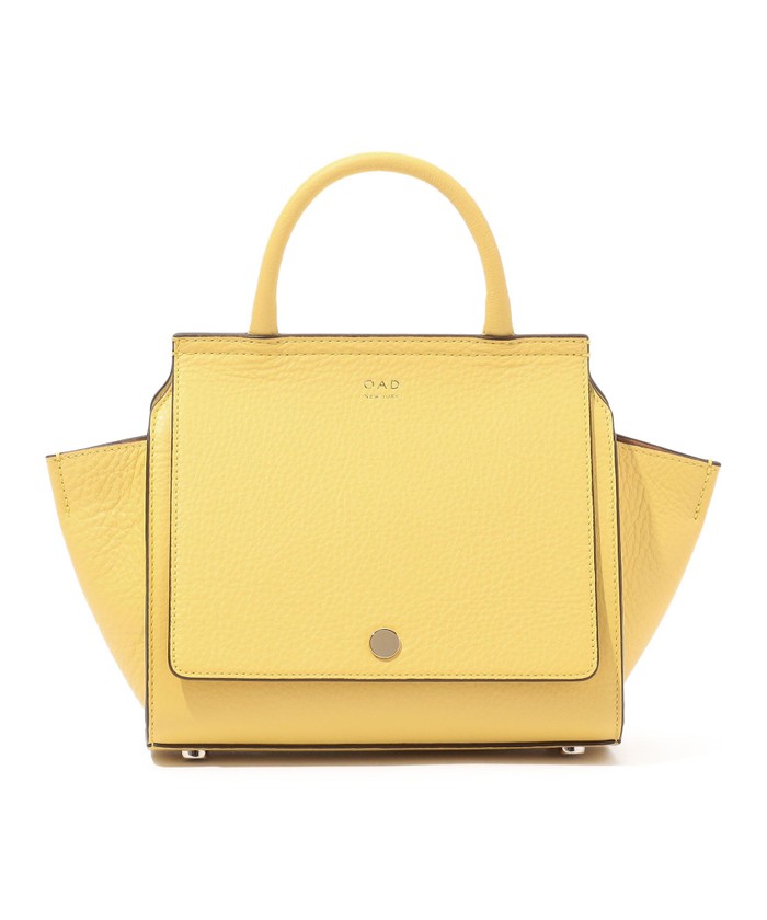 The Elevated Everyday Crossbody : OAD Mini Prism -