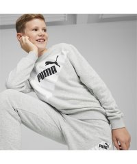 PUMA/キッズ ボーイズ プーマ パワー グラフィック クルー スウェット 120－160cm/505910826