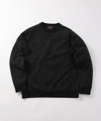 DISTINCTION MEN'S BIGI/ペイズリージャガードクルーネックスウェット/505917760