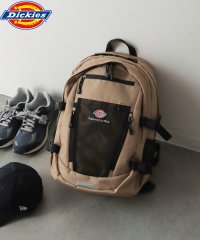 Dickies/Dickies EFW MESH PKT BACKPACK/505910219