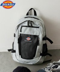 Dickies/Dickies EFW MESH PKT BACKPACK/505910219