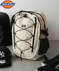 Dickies/Dickies RETRO ACTIVE BACKPACK/505910222