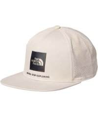 THE NORTH FACE/THE　NORTH　FACE ノースフェイス アウトドア テックロゴ Tech Logo Cap メンズ レデ/505929682