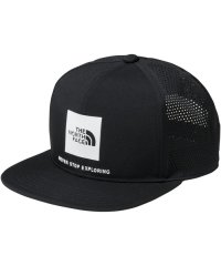 THE NORTH FACE/THE　NORTH　FACE ノースフェイス アウトドア テックロゴ Tech Logo Cap メンズ レデ/505929683