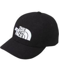 THE NORTH FACE/ザ・ノース・フェイス THE NORTH FACE THE NORTH FACE ノースフェイス アウトドア TNFロゴフランネルキャップ TNF Logo F/505929746