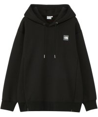 THE NORTH FACE/THE　NORTH　FACE ノースフェイス アウトドア オーバーサイズドスウェット レディース/505930530