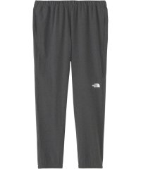 THE NORTH FACE/ザ・ノース・フェイス THE NORTH FACE THE NORTH FACE ノースフェイス アウトドア フレキシブルアンクルパンツ メンズ FLE/505933688