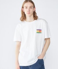 TOMMY JEANS/レギュラーサマーフラッグTシャツ/505923182