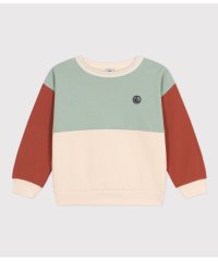 PETIT BATEAU/バイカラースウェットプルオーバー/505936387