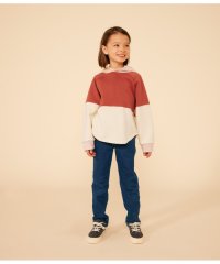 PETIT BATEAU/バイカラースウェットフーディ/505936428