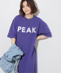 JOURNAL STANDARD relume/《予約》別注【Snow Peak/スノーピーク】 *RELUME T－SHIRT OP：ワンピース/505915040