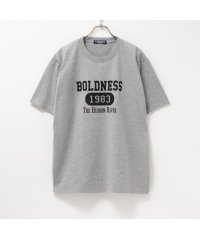 MAC HOUSE(men)/T－GRAPHICS ティーグラフィックス カレッジ半袖Tシャツ 432330MH/505936644