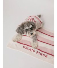 GELATO PIQUE CAT＆DOG/【CAT&DOG】【販路限定商品】ストロベリーボーダーブランケット/505938520